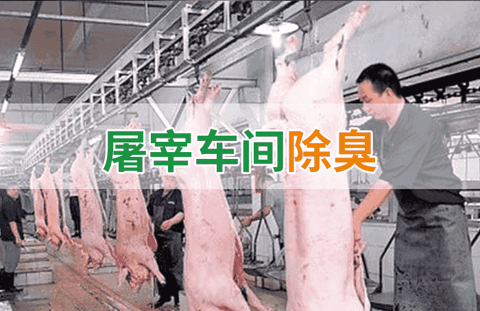 屠宰場(chǎng)臭氣影響周邊環(huán)境？解決辦法在這里-1