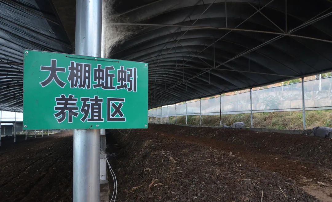 潔匠凈化·的凈工業(yè)除臭劑_的凈工業(yè)除臭劑高效治理蚯蚓養(yǎng)殖惡臭異味大、牛糞味濃