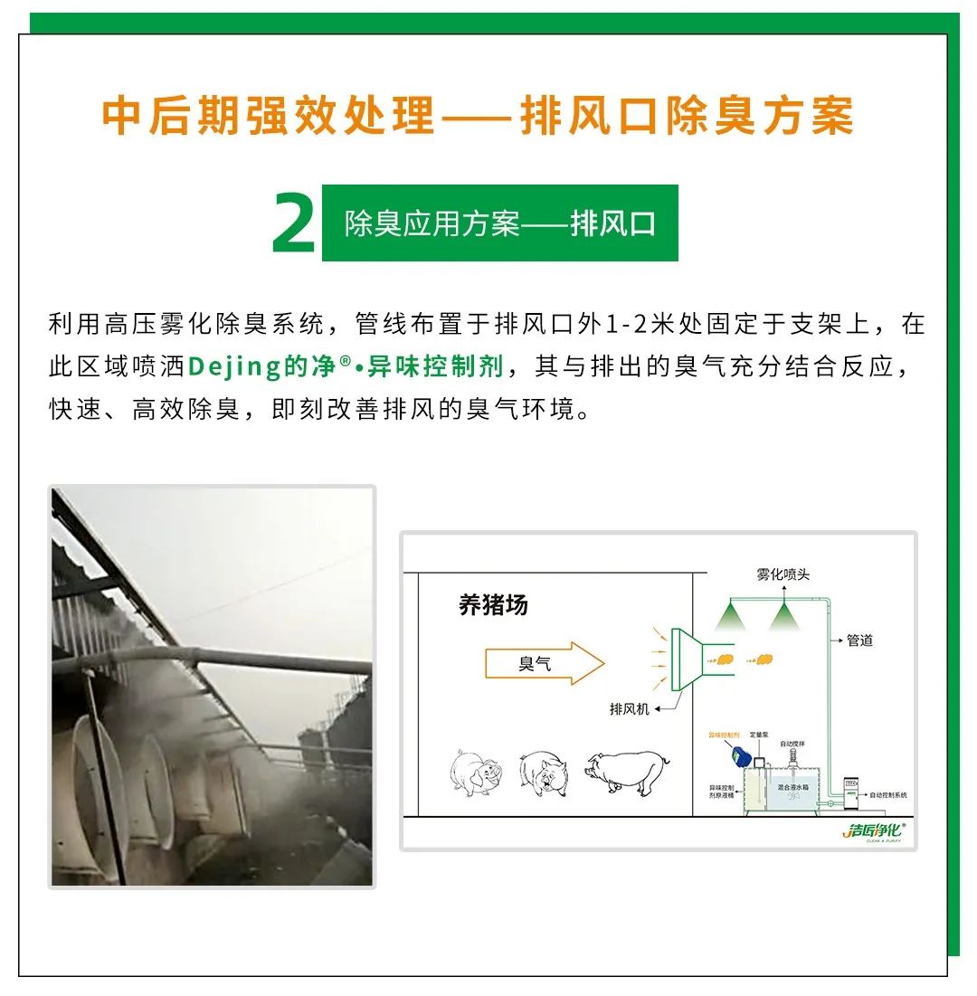 Dejing的凈養(yǎng)殖場(chǎng)除臭劑如何迅速清理養(yǎng)殖場(chǎng)臭味？.jpg