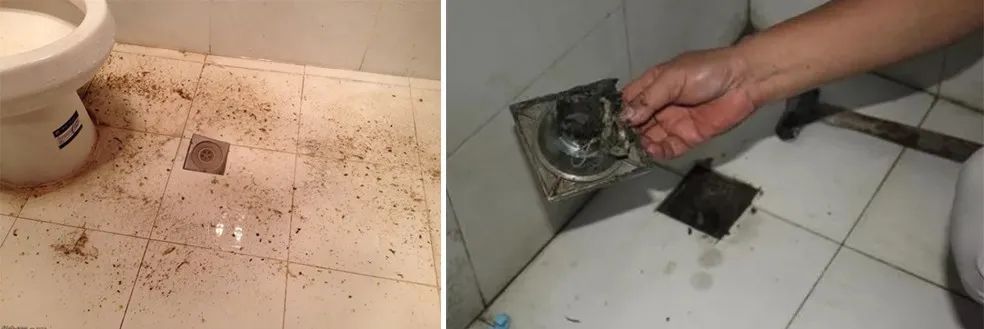 家里衛(wèi)生間老有異味，潔匠凈化教您如何解決難聞的臭味.jpg