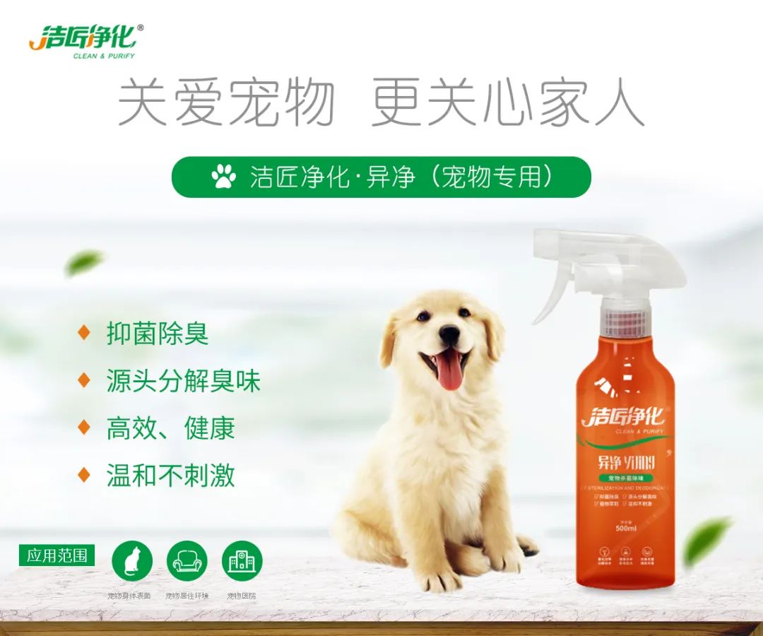 寵物氣味彌漫整個屋子，潔匠凈化教您如何除味