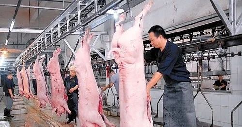 屠宰場(chǎng)臭氣影響周邊環(huán)境？解決辦法在這里.jpg